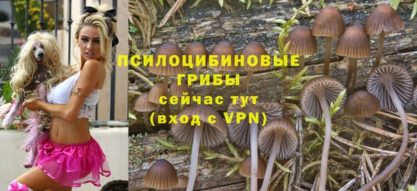 PSILOCYBIN Алексеевка