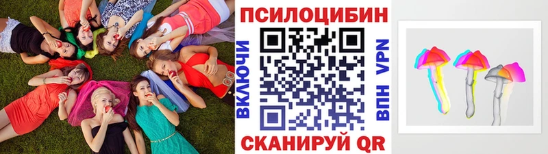 наркошоп  Орск  Галлюциногенные грибы Psilocybe 