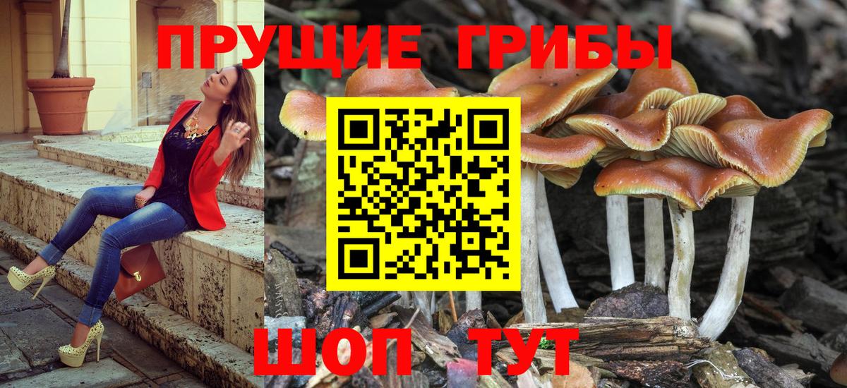Псилоцибиновые грибы MAGIC MUSHROOMS  Вход с VPN  Псилоцибиновые грибы прущие грибы  Орск 
